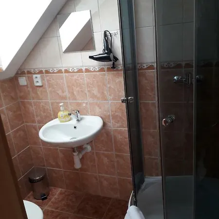 Sokolovna, Obec Krasna 게스트하우스